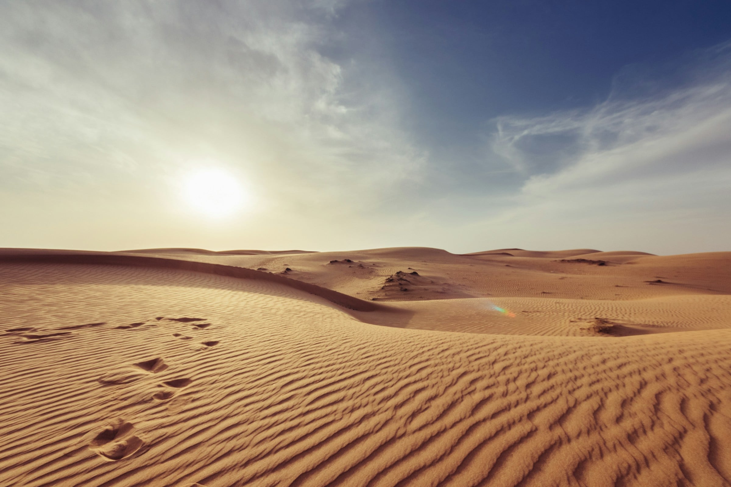 مسافر يقف على كثبان الصحراء الذهبية وقت الغروب